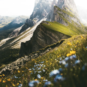 Nature tableau mural métal montagne paysage nature prairie fleurs sommets panoramique